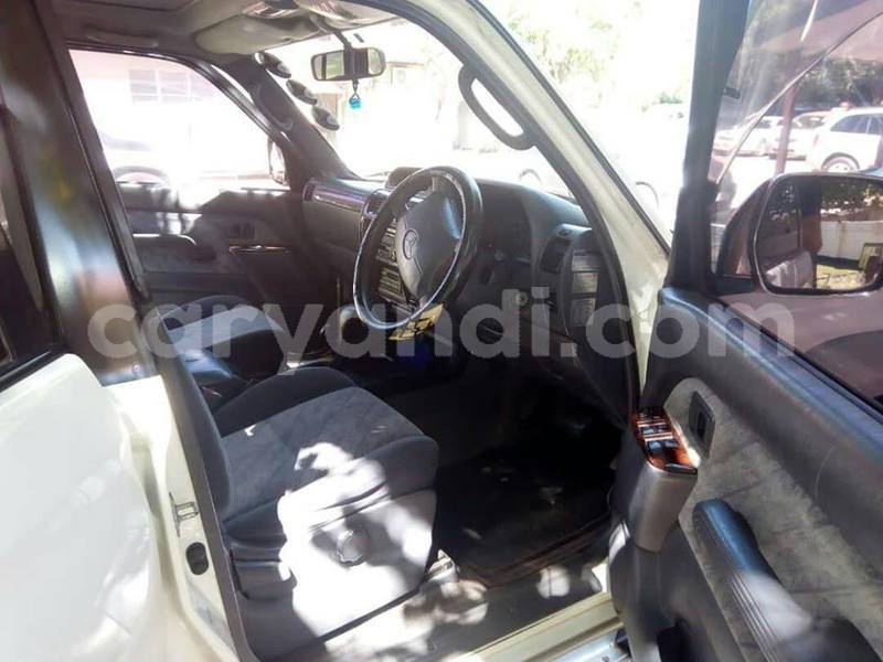 Big with watermark 52601828 2232731806815302 5946918658432303104 n