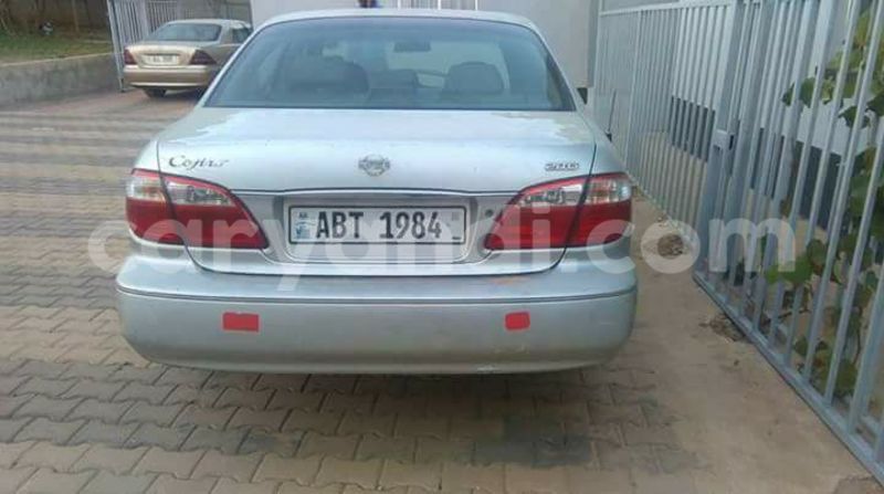 Big with watermark 14572839 1276538899057194 7605807282165903254 n