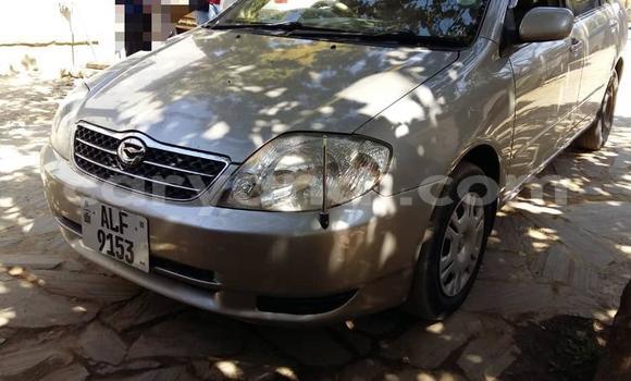 Buy Used Toyota Corolla Other Car in Lusaka in Zambia Buy Used Toyota Corolla Other Car in Lusaka in Zambia