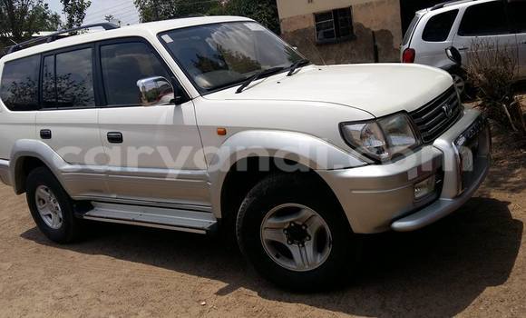 Buy Used Toyota Prado White Car in Chipata in Zambia Buy Used Toyota Prado White Car in Chipata in Zambia