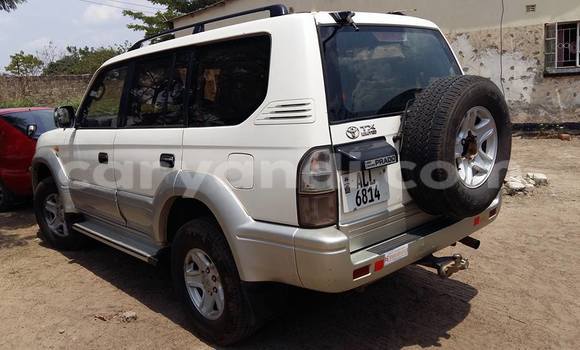 Buy Used Toyota Prado White Car in Chipata in Zambia Buy Used Toyota Prado White Car in Chipata in Zambia