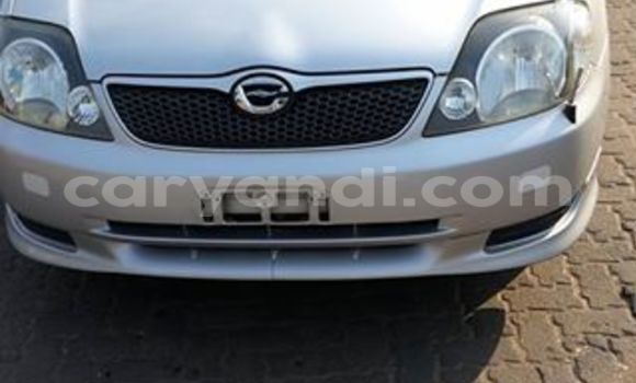 Acheter Occasion Voiture Toyota Runx Gris à Chipata, Zambie Acheter Occasion Voiture Toyota Runx Gris à Chipata, Zambie