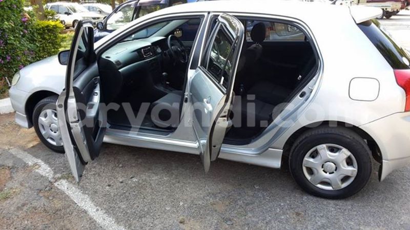 Big with watermark 14937420 10210899464142563 5142262507148257599 n