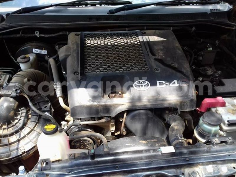 Big with watermark 14937420 10210899464142563 5142262507148257599 n