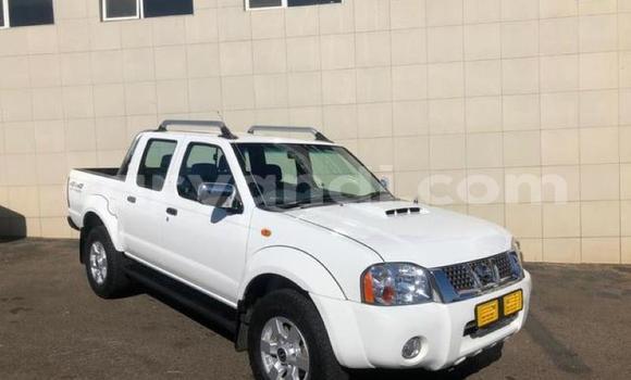 Buy Used Nissan Hardbody White Car in Chingola in Zambia Buy Used Nissan Hardbody White Car in Chingola in Zambia