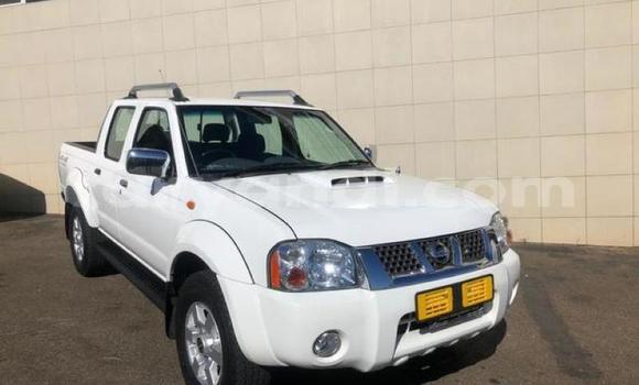 Buy Used Nissan Hardbody White Car in Chingola in Zambia Buy Used Nissan Hardbody White Car in Chingola in Zambia