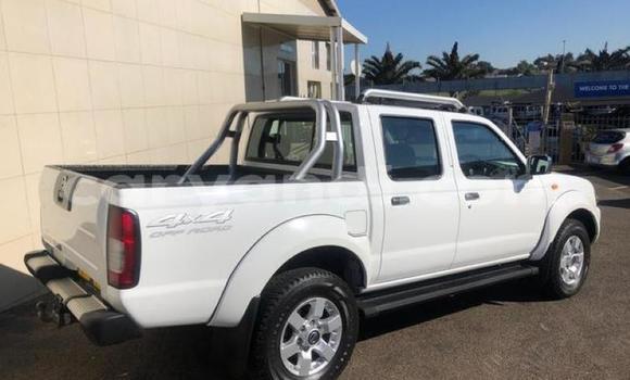 Buy Used Nissan Hardbody White Car in Chingola in Zambia Buy Used Nissan Hardbody White Car in Chingola in Zambia
