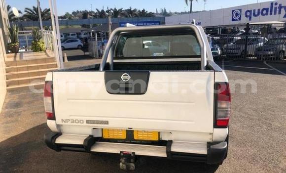 Buy Used Nissan Hardbody White Car in Chingola in Zambia Buy Used Nissan Hardbody White Car in Chingola in Zambia