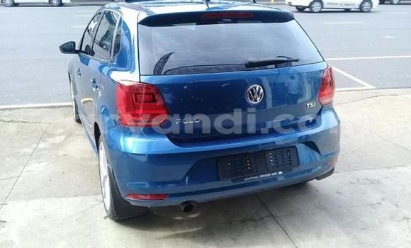 Tenga Tsaru Volkswagen Polo Bhuruu Mota in Chingola in Zambia Tenga Tsaru Volkswagen Polo Bhuruu Mota in Chingola in Zambia