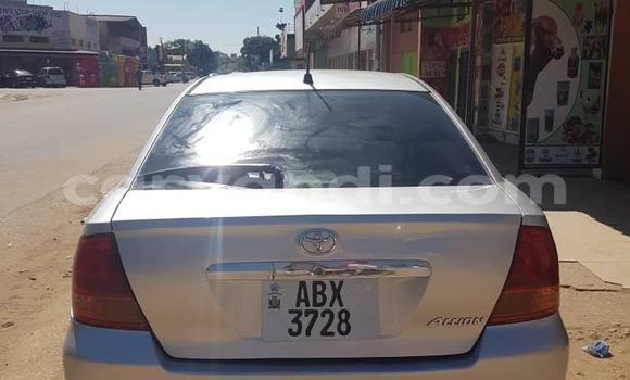 Tenga Tsaru Toyota Allion Sirivha Mota in Lusaka in Zambia Tenga Tsaru Toyota Allion Sirivha Mota in Lusaka in Zambia