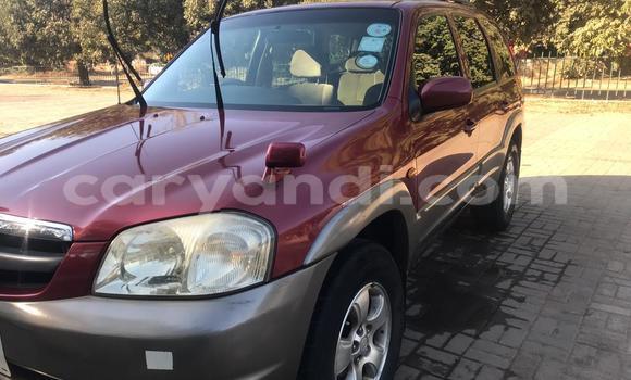 Tenga Tsaru Mazda Tribute Zvimwe Mota in Lusaka in Zambia Tenga Tsaru Mazda Tribute Zvimwe Mota in Lusaka in Zambia