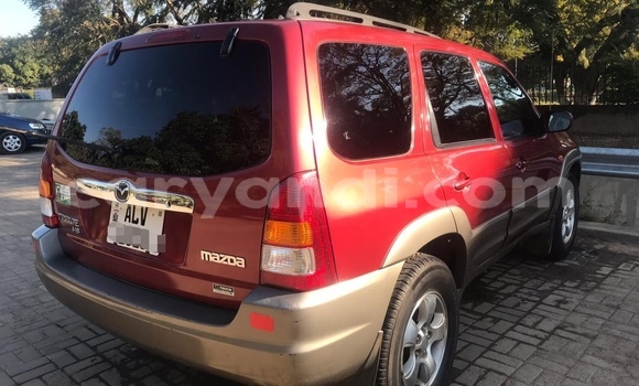 Tenga Tsaru Mazda Tribute Zvimwe Mota in Lusaka in Zambia Tenga Tsaru Mazda Tribute Zvimwe Mota in Lusaka in Zambia