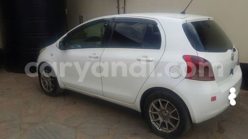 Big with watermark 14695326 1276538865723864 3907257530309395993 n