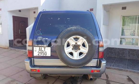 Buy Used Toyota Prado Other Car in Chipata in Zambia Buy Used Toyota Prado Other Car in Chipata in Zambia
