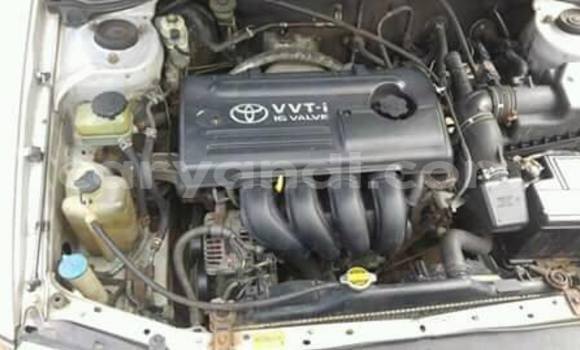 Buy Used Toyota Avensis Red Car in Chipata in Zambia Buy Used Toyota Avensis Red Car in Chipata in Zambia