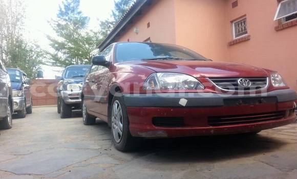 Buy Used Toyota Avensis Red Car in Chipata in Zambia Buy Used Toyota Avensis Red Car in Chipata in Zambia
