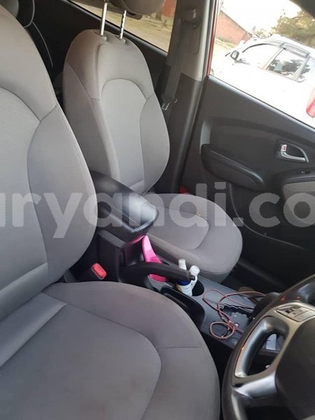 Big with watermark 67152746 672356046568944 8172943553035501568 n