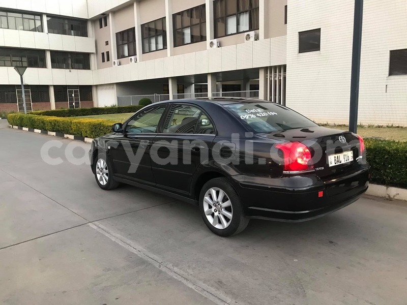 Big with watermark 67183175 668290656975483 3537463621946703872 o