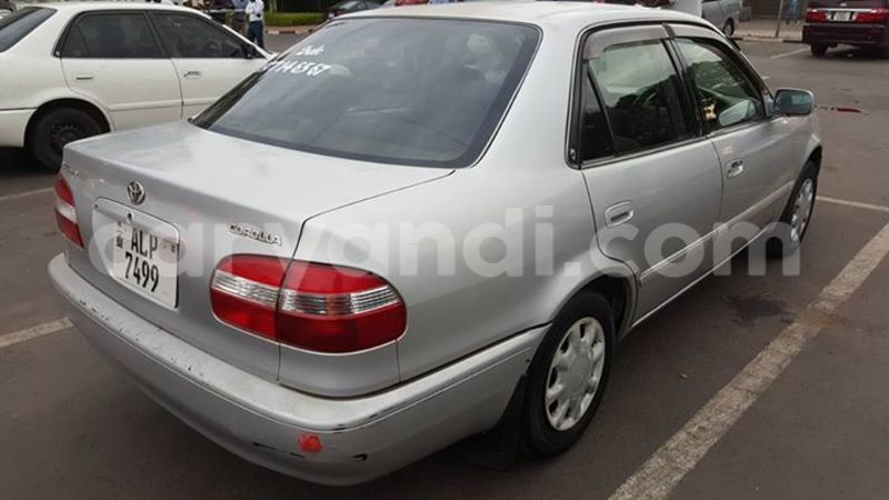 Big with watermark 14322753 152041765249206 4084601271133145777 n