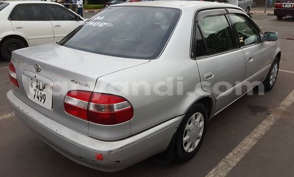 Buy Used Toyota Corolla Silver Car in Chipata in Zambia Buy Used Toyota Corolla Silver Car in Chipata in Zambia