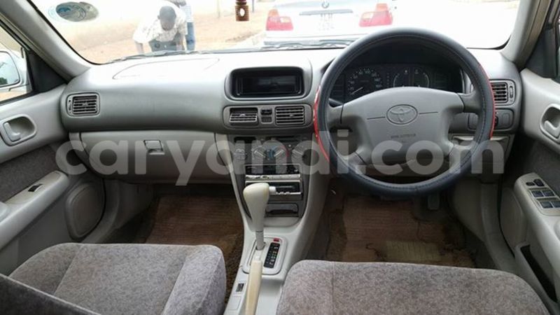 Big with watermark 14324596 10209113455147535 4826326470268354662 o