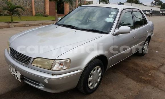 Buy Used Toyota Corolla Silver Car in Chipata in Zambia Buy Used Toyota Corolla Silver Car in Chipata in Zambia
