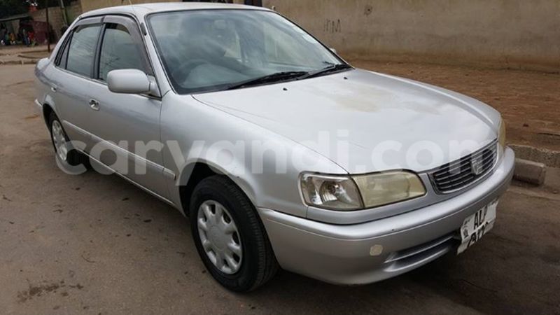 Big with watermark 14355616 1652943051684902 3641046762615807478 n