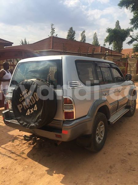 Big with watermark 14324596 10209113455147535 4826326470268354662 o