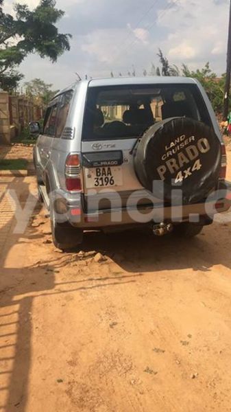 Big with watermark 14344360 195243170887525 1476089703380270021 n