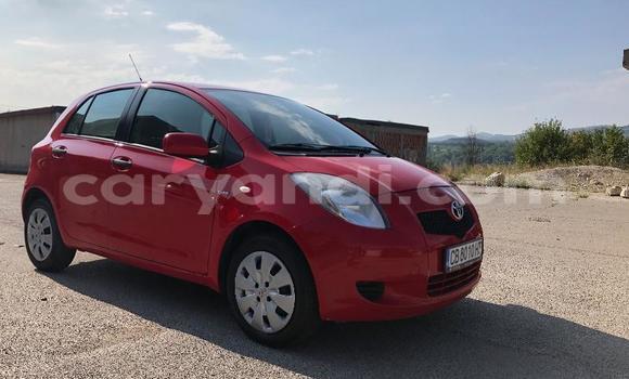 Buy Used Toyota Yaris Red Car in Lusaka in Zambia Buy Used Toyota Yaris Red Car in Lusaka in Zambia