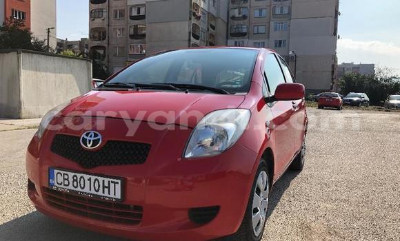 Buy Used Toyota Yaris Red Car in Lusaka in Zambia Buy Used Toyota Yaris Red Car in Lusaka in Zambia