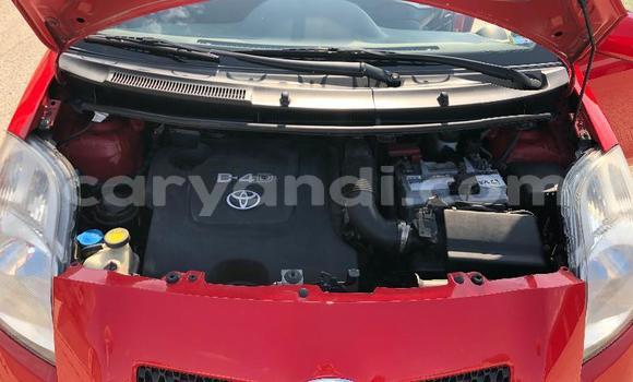 Buy Used Toyota Yaris Red Car in Lusaka in Zambia Buy Used Toyota Yaris Red Car in Lusaka in Zambia