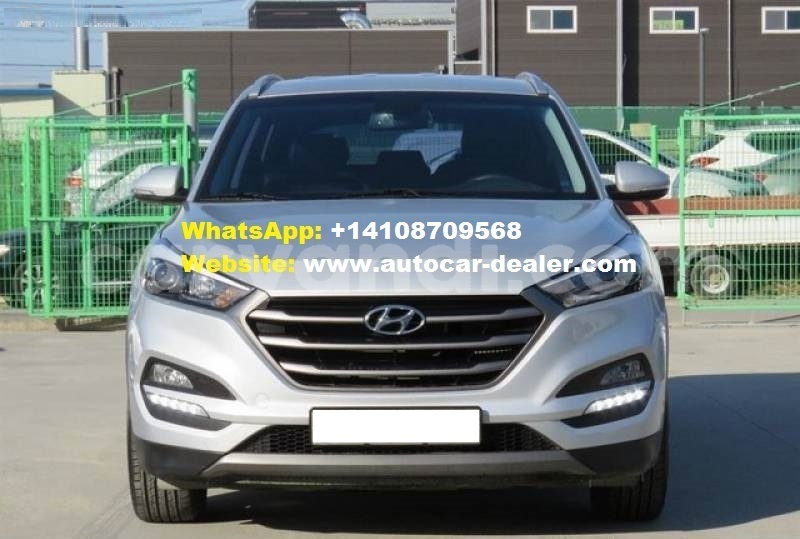 Big with watermark 2 copy