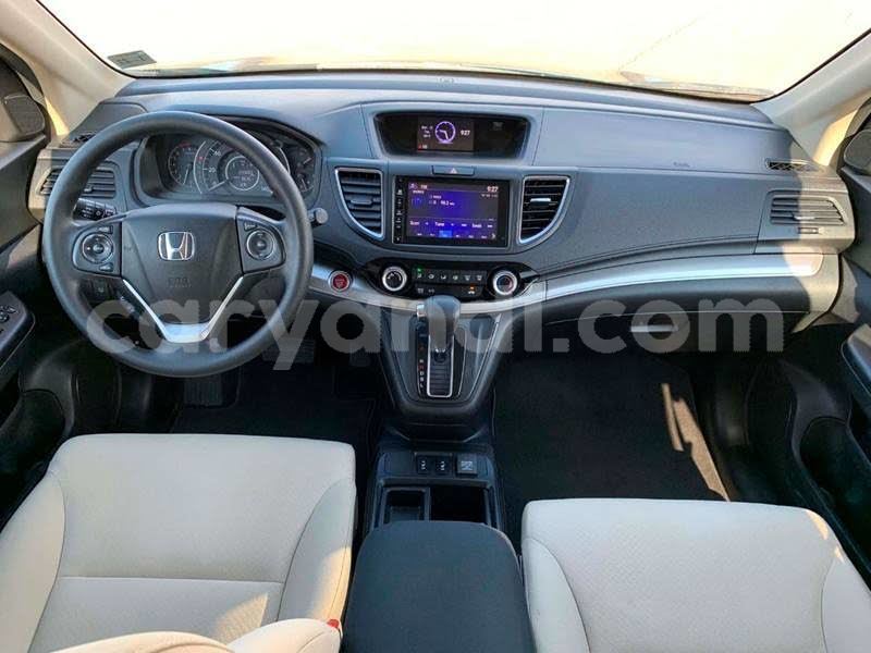 Big with watermark 11