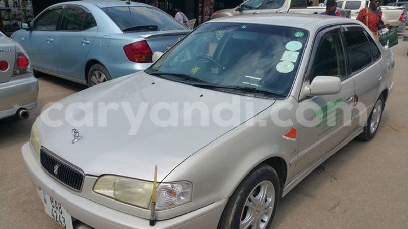 Big with watermark 14322753 152041765249206 4084601271133145777 n