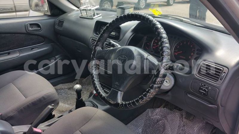 Big with watermark 14324596 10209113455147535 4826326470268354662 o