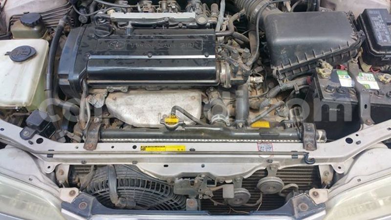 Big with watermark 14344360 195243170887525 1476089703380270021 n