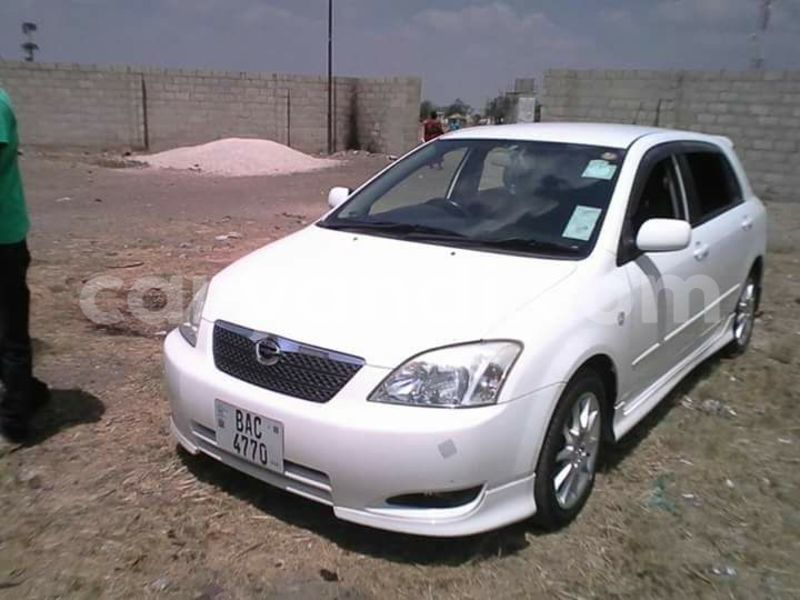 Big with watermark 14322753 152041765249206 4084601271133145777 n