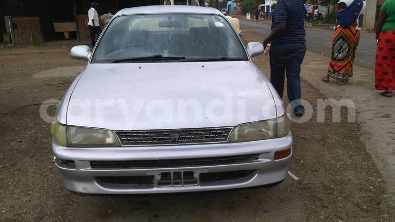 Big with watermark 14322753 152041765249206 4084601271133145777 n