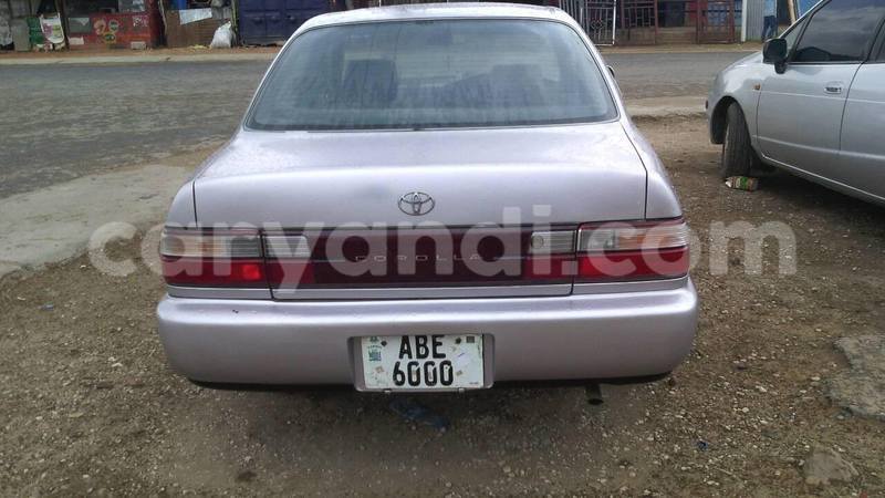 Big with watermark 14324596 10209113455147535 4826326470268354662 o