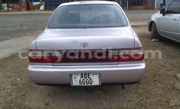 Tenga Tsaru Toyota Corolla Sirivha Mota in Chipata in Zambia Tenga Tsaru Toyota Corolla Sirivha Mota in Chipata in Zambia