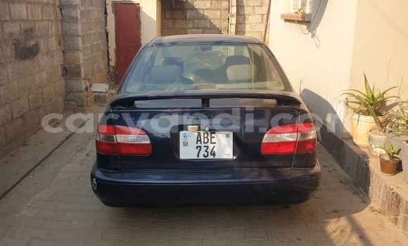 Buy Used Toyota Corolla Blue Car in Lusaka in Zambia Buy Used Toyota Corolla Blue Car in Lusaka in Zambia
