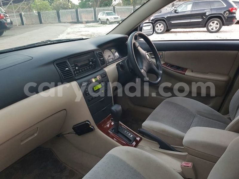 Big with watermark 14937420 10210899464142563 5142262507148257599 n