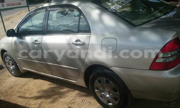Acheter Occasion Voiture Toyota Corolla à Chingola, Zambie Acheter Occasion Voiture Toyota Corolla à Chingola, Zambie