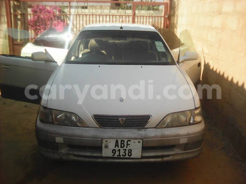 Big with watermark 14322753 152041765249206 4084601271133145777 n