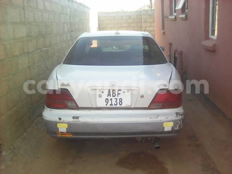 Big with watermark 14324596 10209113455147535 4826326470268354662 o