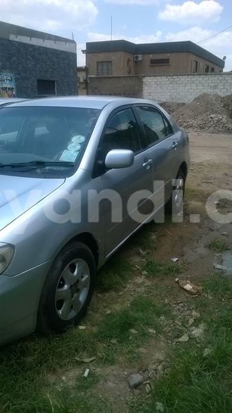 Big with watermark 14322753 152041765249206 4084601271133145777 n