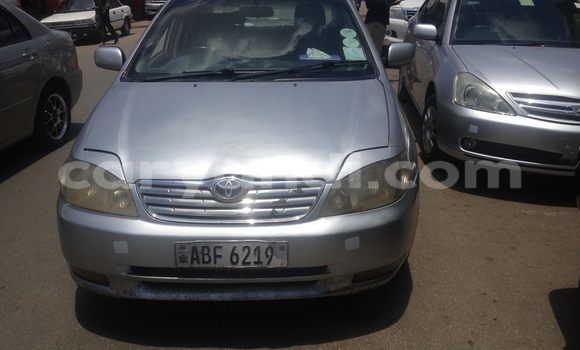 Buy Used Toyota Corolla Silver Car in Chipata in Zambia Buy Used Toyota Corolla Silver Car in Chipata in Zambia