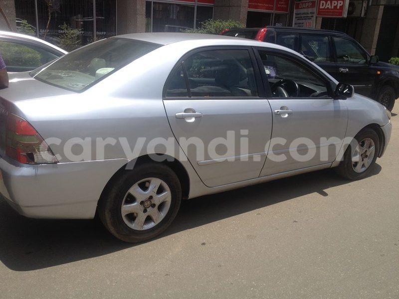 Big with watermark 14344360 195243170887525 1476089703380270021 n