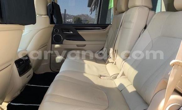 Acheter Occasion Voiture Lexus LX Autre à Chingola, Zambie Acheter Occasion Voiture Lexus LX Autre à Chingola, Zambie